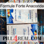 Anaconda Strong Formula kamagra1